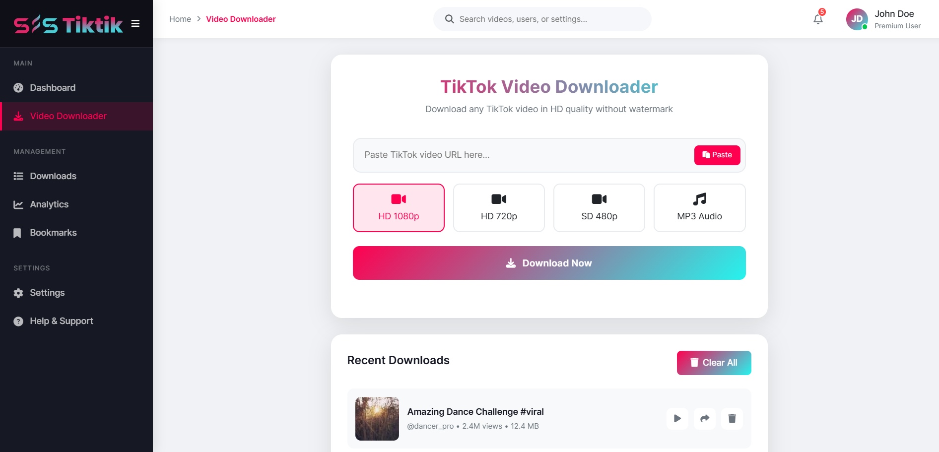 Video Downloader Interface